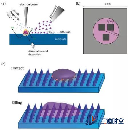 代尔夫特理工大学使用电子束诱导沉积技术,研究3D打印抗菌表面